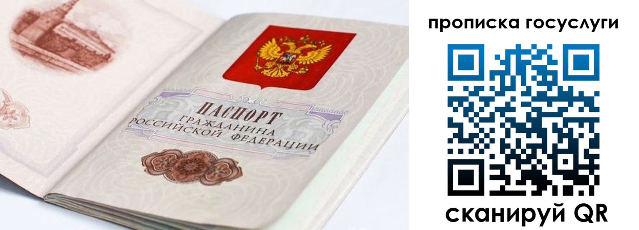 прописка гарантия в Сургуте